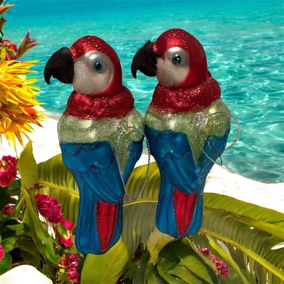 Other - Colorful Parrot Bird Ornament Set
